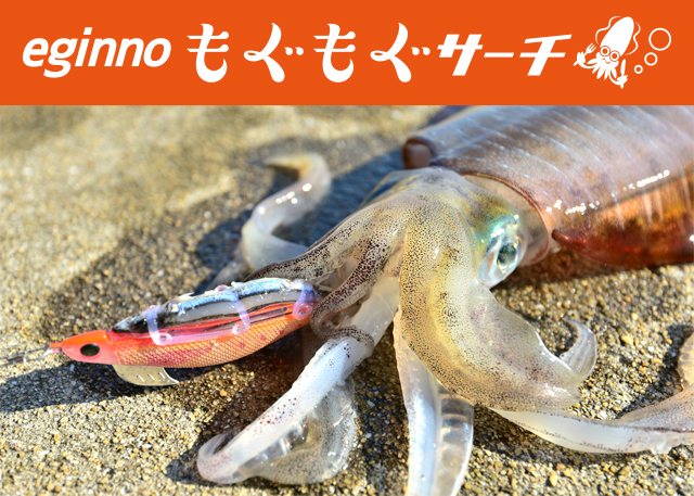 p603_tokutyou_01.jpeg
