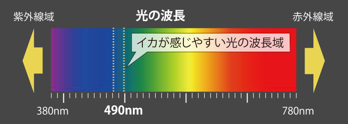 egiohk490_img02.png