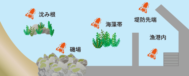 p603_tokutyou_05.jpeg