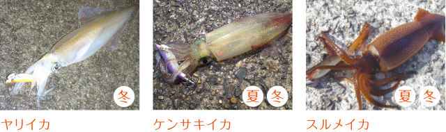 p603_tokutyou_07.jpeg
